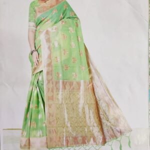 ORGANZA SAREE