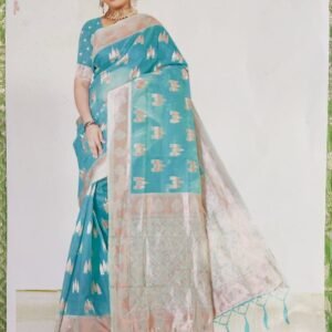 ORGANZA SAREE