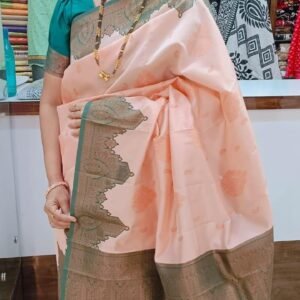 Elegance Redefined: Coimbatore Silk with Resham Border