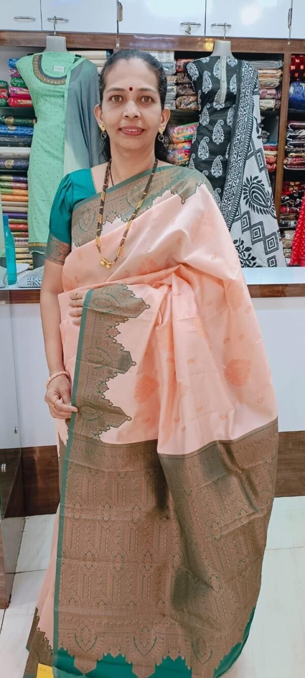 Elegance Redefined: Coimbatore Silk with Resham Border